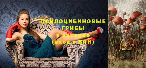 кокс Пионерский