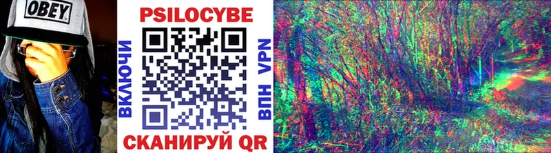 МЕГА tor где продают наркотики Тырныауз Псилоцибиновые грибы Magic Shrooms